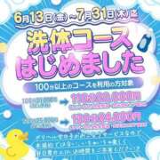 ヒメ日記 2025/06/16 13:36 投稿 しず 新潟市鳥屋野潟ちゃんこ