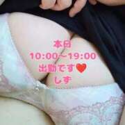 ヒメ日記 2025/07/14 08:46 投稿 しず 新潟市鳥屋野潟ちゃんこ