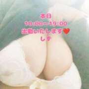 ヒメ日記 2025/09/09 10:26 投稿 しず 新潟市鳥屋野潟ちゃんこ