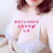 ヒメ日記 2025/11/08 11:16 投稿 しず 新潟市鳥屋野潟ちゃんこ