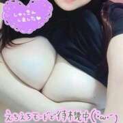 ヒメ日記 2026/08/13 14:16 投稿 しず 新潟市鳥屋野潟ちゃんこ