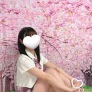 ヒメ日記 2025/03/13 12:18 投稿 らら 密着アロマにゃんにゃんSPA