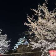 ヒメ日記 2026/04/08 12:23 投稿 櫻井りお パレット(熊本)