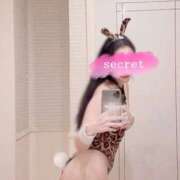 ヒメ日記 2025/04/03 04:08 投稿 えれな★綺麗で上品なオトナ女子 Bell～S級美女お姉様・人妻デリヘル～