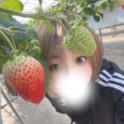 ヒメ日記 2026/01/22 17:27 投稿 凪あすかハイスタンダード -NEO-皇帝別館（中央街）