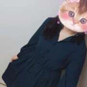 ヒメ日記 2025/11/29 15:27 投稿 あかり 奥様メモリアル