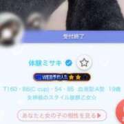 ヒメ日記 2025/03/11 06:27 投稿 ミサキ ツートップ