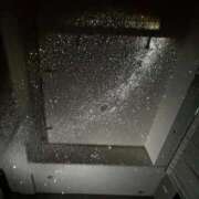 ヒメ日記 2025/05/15 18:20 投稿 ミサキ ツートップ