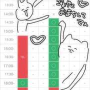 ヒメ日記 2025/05/29 07:03 投稿 ミサキ ツートップ