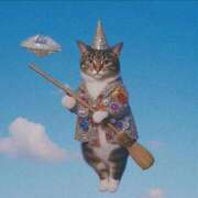 ヒメ日記 2025/07/11 06:18 投稿 ミサキ ツートップ