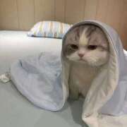 ヒメ日記 2025/07/12 14:43 投稿 ミサキ ツートップ