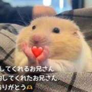 ヒメ日記 2025/08/16 21:38 投稿 ミサキ ツートップ