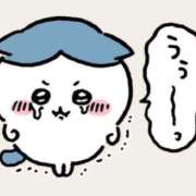 ヒメ日記 2025/11/05 06:18 投稿 ミサキ ツートップ