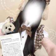 ヒメ日記 2026/03/08 06:21 投稿 ミサキ ツートップ