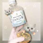 ヒメ日記 2026/03/17 06:27 投稿 ミサキ ツートップ