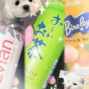 ヒメ日記 2026/04/04 19:03 投稿 ミサキ ツートップ