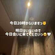 ミサキ いないよ(´👁.̮👁) ツートップ