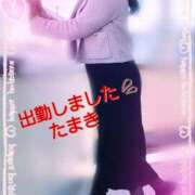 ヒメ日記 2025/04/27 09:40 投稿 たまき 熟女の風俗最終章 本厚木店