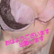 ヒメ日記 2025/05/18 08:29 投稿 たまき 熟女の風俗最終章 本厚木店