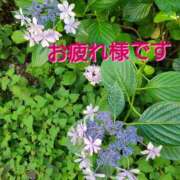 ヒメ日記 2025/06/27 20:30 投稿 たまき 熟女の風俗最終章 本厚木店