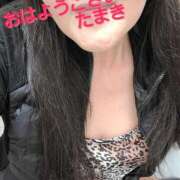 ヒメ日記 2025/11/09 10:31 投稿 たまき 熟女の風俗最終章 本厚木店