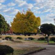 ヒメ日記 2025/12/09 12:37 投稿 たまき 熟女の風俗最終章 本厚木店