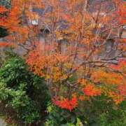 ヒメ日記 2025/12/20 12:41 投稿 たまき 熟女の風俗最終章 本厚木店