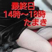 ヒメ日記 2025/12/28 23:21 投稿 たまき 熟女の風俗最終章 本厚木店