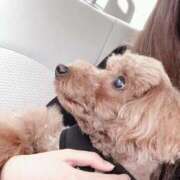 ヒメ日記 2025/07/23 10:03 投稿 うらら（シルバーキャスト） VIPクリスタル