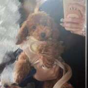 ヒメ日記 2026/01/25 08:55 投稿 うらら（シルバーキャスト） VIPクリスタル