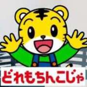 ヒメ日記 2026/02/21 08:41 投稿 うらら（シルバーキャスト） VIPクリスタル