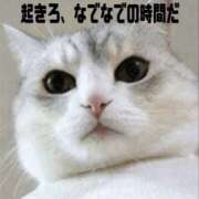 ヒメ日記 2025/05/23 09:40 投稿 七瀬雪菜 五十路マダム愛されたい熟女たち 津山店