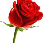 ヒメ日記 2025/08/31 19:16 投稿 七瀬雪菜 五十路マダム愛されたい熟女たち 津山店