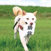 ヒメ日記 2025/10/25 08:42 投稿 七瀬雪菜 五十路マダム愛されたい熟女たち 津山店