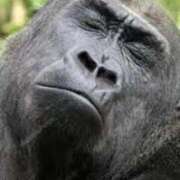 ヒメ日記 2025/10/25 09:12 投稿 七瀬雪菜 五十路マダム愛されたい熟女たち 津山店