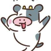 ヒメ日記 2026/02/09 11:04 投稿 七瀬雪菜 五十路マダム愛されたい熟女たち 津山店