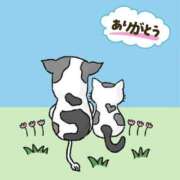 ヒメ日記 2026/03/18 19:48 投稿 七瀬雪菜 五十路マダム愛されたい熟女たち 津山店