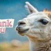 ヒメ日記 2026/03/20 09:44 投稿 七瀬雪菜 五十路マダム愛されたい熟女たち 津山店