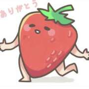 ヒメ日記 2026/03/29 09:22 投稿 七瀬雪菜 五十路マダム愛されたい熟女たち 津山店