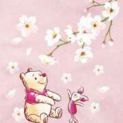 ヒメ日記 2026/03/30 09:30 投稿 七瀬雪菜 五十路マダム愛されたい熟女たち 津山店