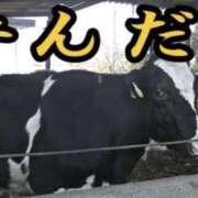 ヒメ日記 2026/05/22 10:06 投稿 七瀬雪菜 五十路マダム愛されたい熟女たち 津山店