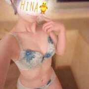 ヒメ日記 2025/07/23 21:31 投稿 ひな ダイスキ