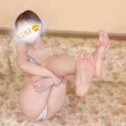 ヒメ日記 2026/03/02 15:36 投稿 ひな ダイスキ