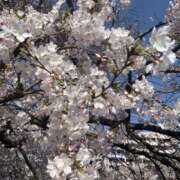 ヒメ日記 2025/04/05 20:47 投稿 真美-まみ 熟女10000円デリヘル横浜