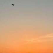 ヒメ日記 2026/01/01 07:17 投稿 真美-まみ 熟女10000円デリヘル横浜