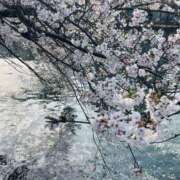 ヒメ日記 2026/04/01 07:17 投稿 真美-まみ 熟女10000円デリヘル横浜