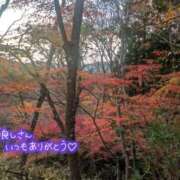 天海あんな 紅葉? 大人めシンデレラ 新横浜店（シンデレラグループ）