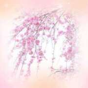 ヒメ日記 2025/03/13 08:53 投稿 ゆあな 熟女の風俗最終章 立川店