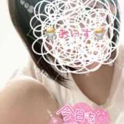 ヒメ日記 2025/03/07 23:14 投稿 あいす 柏人妻花壇