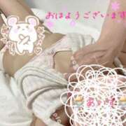 ヒメ日記 2025/03/13 07:55 投稿 あいす 柏人妻花壇